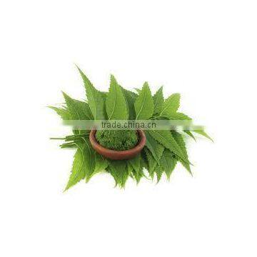 Azadirachda Indica Extract photo-4