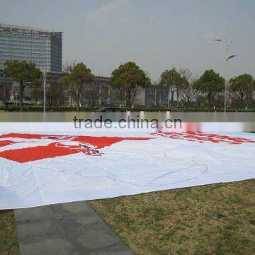 promotional gaint flag