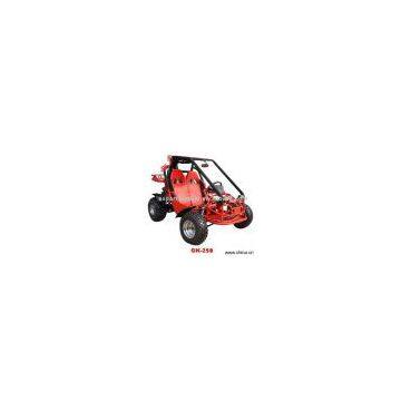 Sell 250cc Double-Seat Go Kart (EEC Approved)