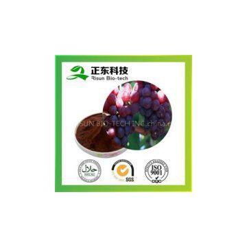 Grape Seed Extract