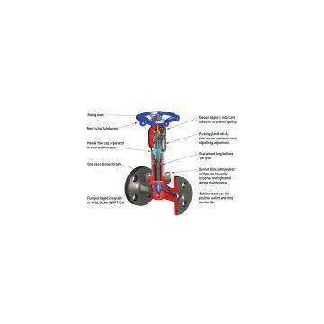 Forged Steel Bellows Seal Globe Valve