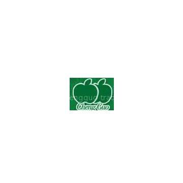 Shantou Chengguo Shoes Co.,Ltd.