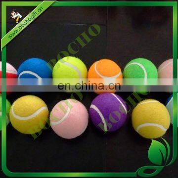 colored tennis ball for pet