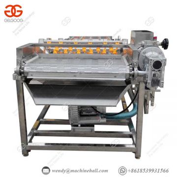 Lettuce Washing Equipment Equipment Bubble Leafy Vegetable Fruit