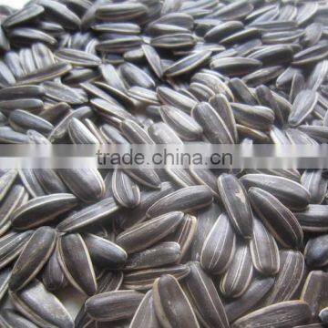 crop top black sunflower seed for oil for sale