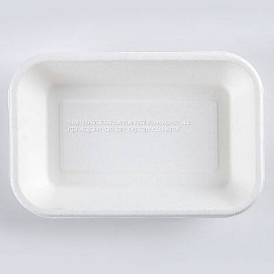 New Hot Disposable Biodegradable 24OZ TRAY Bagasse Food Box Take Away Sugarcane Container photo-4