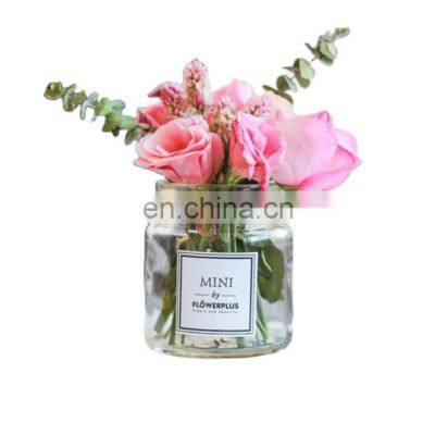 Wholesale Creative Design Ins Home Wedding Decorative Nordic Clear Flower Glass Vase