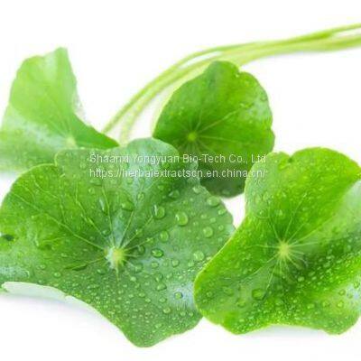 Gotu Kola Extract Madecassoside 60%, Centella Asiatica Extract Asiaticoside 10%, Asiatic acid 90%, Yongyuan Bio