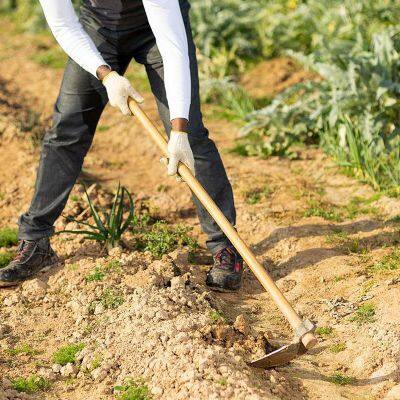 Best Garden Hoe, Rail Steel, H304 for Efficient Weeding and Farming Work photo-5