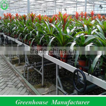 greenhouse bench for plants