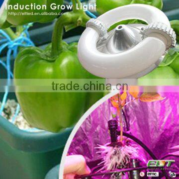 red/blue emittiing color magnetic induction 600w led grow light