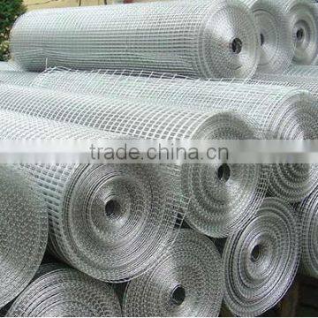 factory supply hot sale Galvanized Welded Wire Mesh