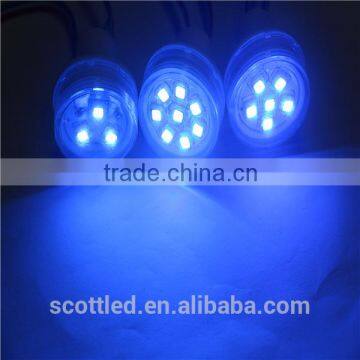 38mm Outdoor Digital Rgb 5050 Led Point Lights Led Amusement Light, Carousel Pixel Led photo-5