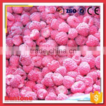 Best Price Good Taste Frozen Raspberry