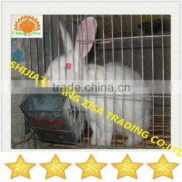 zisa design 12 pairs rabbit cage farm equipment