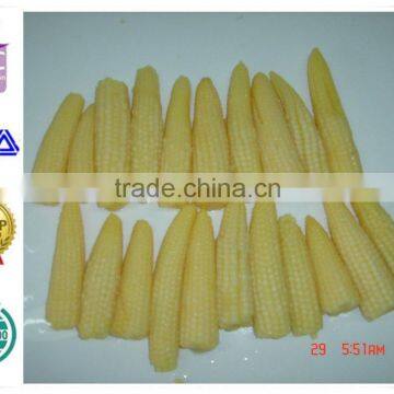 Fresh canned sweet corn kernel