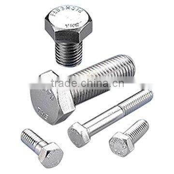 STAINLESS STEEL CAP BOLT