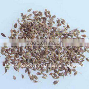 Exporter of Natural Cumin seed Oil