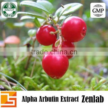 pure alpha arbutin powder for alpha arbutin rebtech