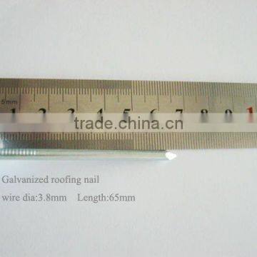 9 gauge galvanized iron roofing nail with umbrella head