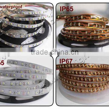 5050 Rgbw Led Strip photo-2