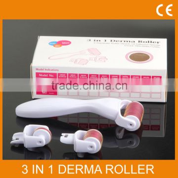 Portable beauty machine derma roller with3 kinds of micro needles from Beijing Jiatailonghe