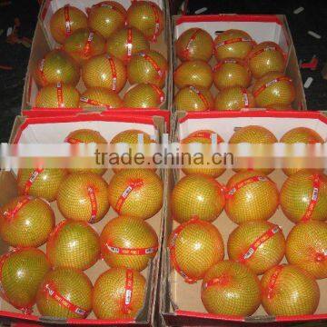 Chinese honey pomelo