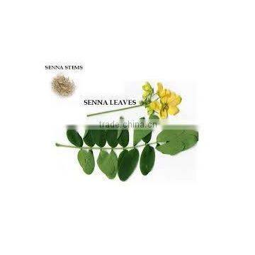Senna Leaves