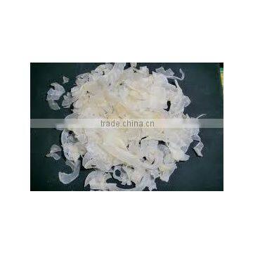 Tragacanth Gum powder