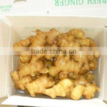 Fresh Ginger 100g and up