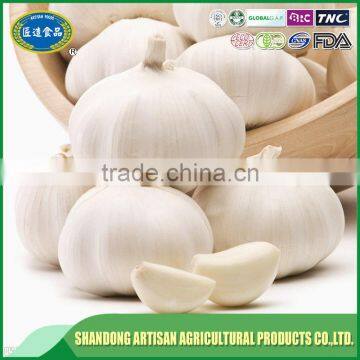 10kg carton natural garlic