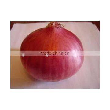 Buy/Import China Organic Red Onion 2016 Crop