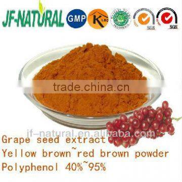 Grape seed extract good solubility