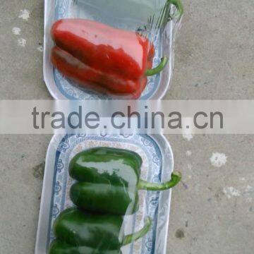 Sweet Pepper Seeds Lamuyo Pepper Seeds Hillary F1 photo-2