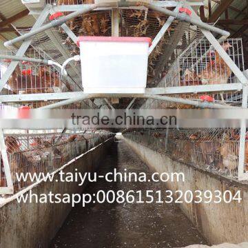Chicken Cage 120 Birds 3 Tier or 256 Birds Chicken Cage Hot Sale in Zimbia