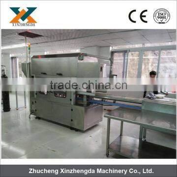 automatic horizontal flow fresh fruit and vegetable packing machine