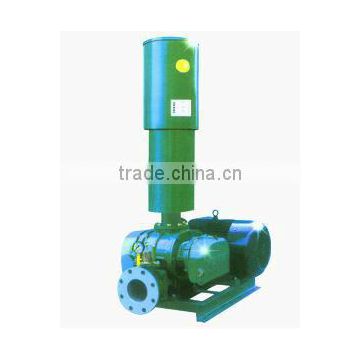 Oxygen generator roots pump