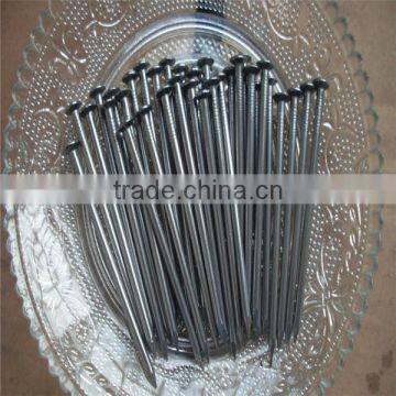 Clout Nails With Factory Price , High Quality , Various of Size photo-3