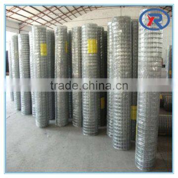 Hot Sale Galvanized/stainless Steel Welded Wire Mesh photo-5