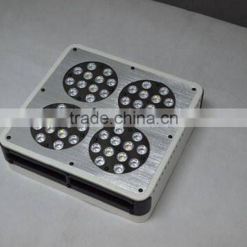 Hot Selling Apollo 4 Led Grow Lights Hydroponic photo-4