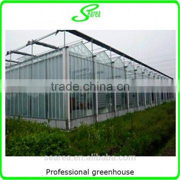 Hot Sale Tropical Greenhouse photo-3