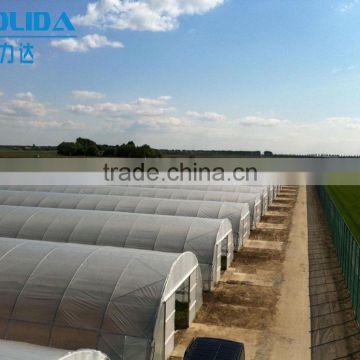 large plastic film greenhouse with control system for plant growth