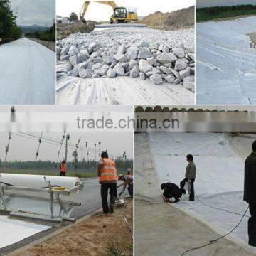 Composite Geomembrane High Quality for Dam Road Seepage Control photo-2