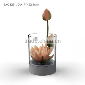 Indoor desktop concrete plant pot / glass plant pot