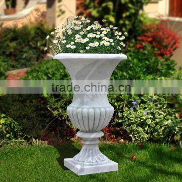 Importer Directory Plants for Large Planters VFP-N001 photo-2