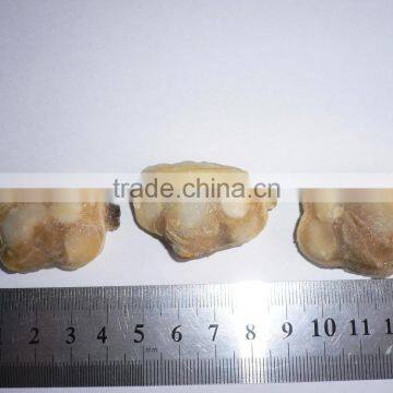 CLAM MEAT IQF SHORT NECKED CLAM MEAT PRODUCTS