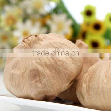 Chinese Black Garlic no White Garlics photo-6