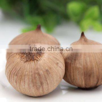 2016 fermented Solo black Garlic from China is welcoming