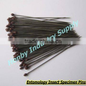 2017 HOT Brownness Nylon Head Taxidermy Insect Specimen pins
