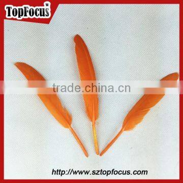 Cheap Dyed Any Color Indian Feather Headdress Down Goose Feather Price photo-4